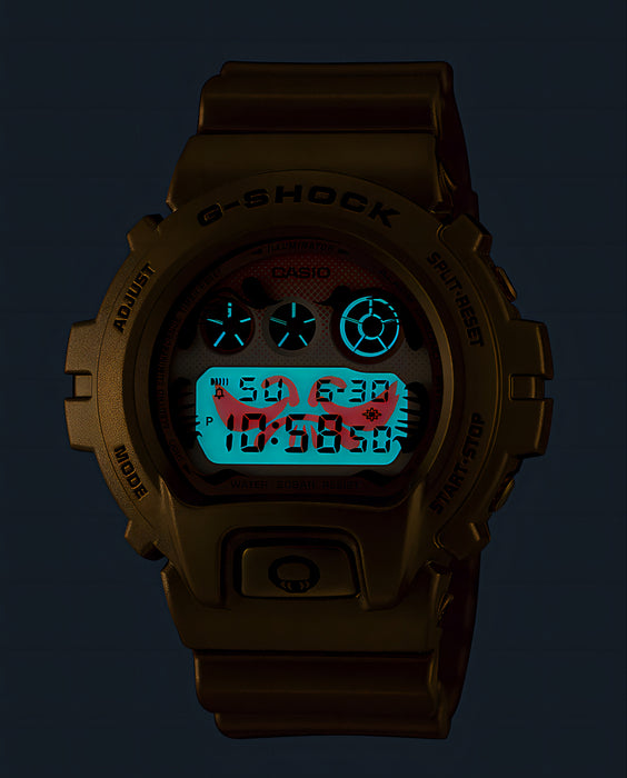 Reloj G-shock correa de resina DW-6900GDA-9