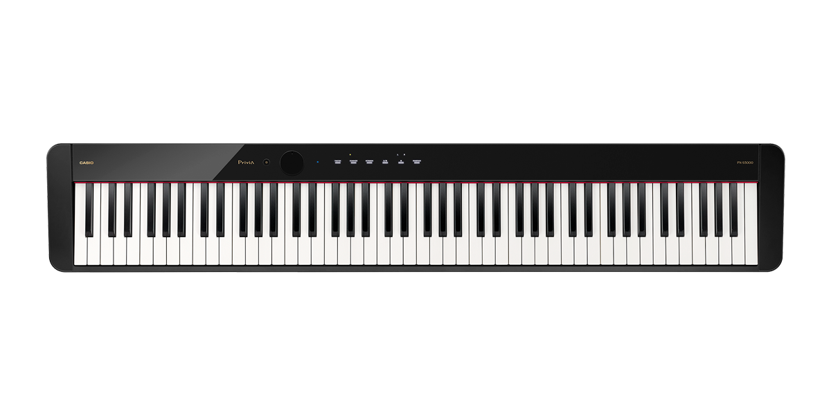 Piano portatil PX-S5000BK
